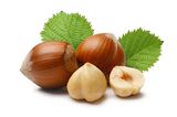 Extra Hazelnut