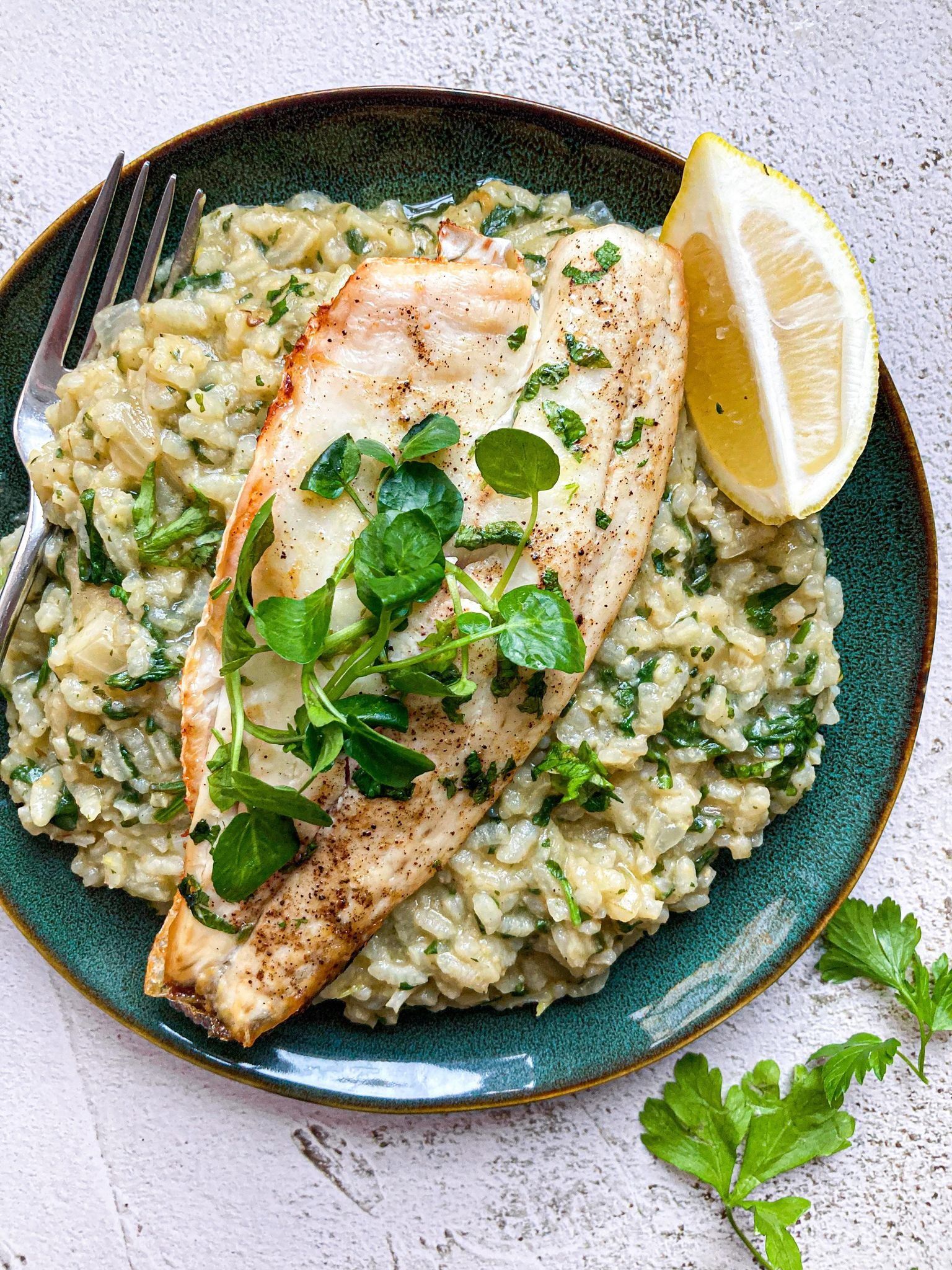 Sea Bream Fish Risotto