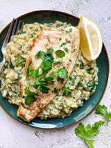 Sea Bream Fish Risotto