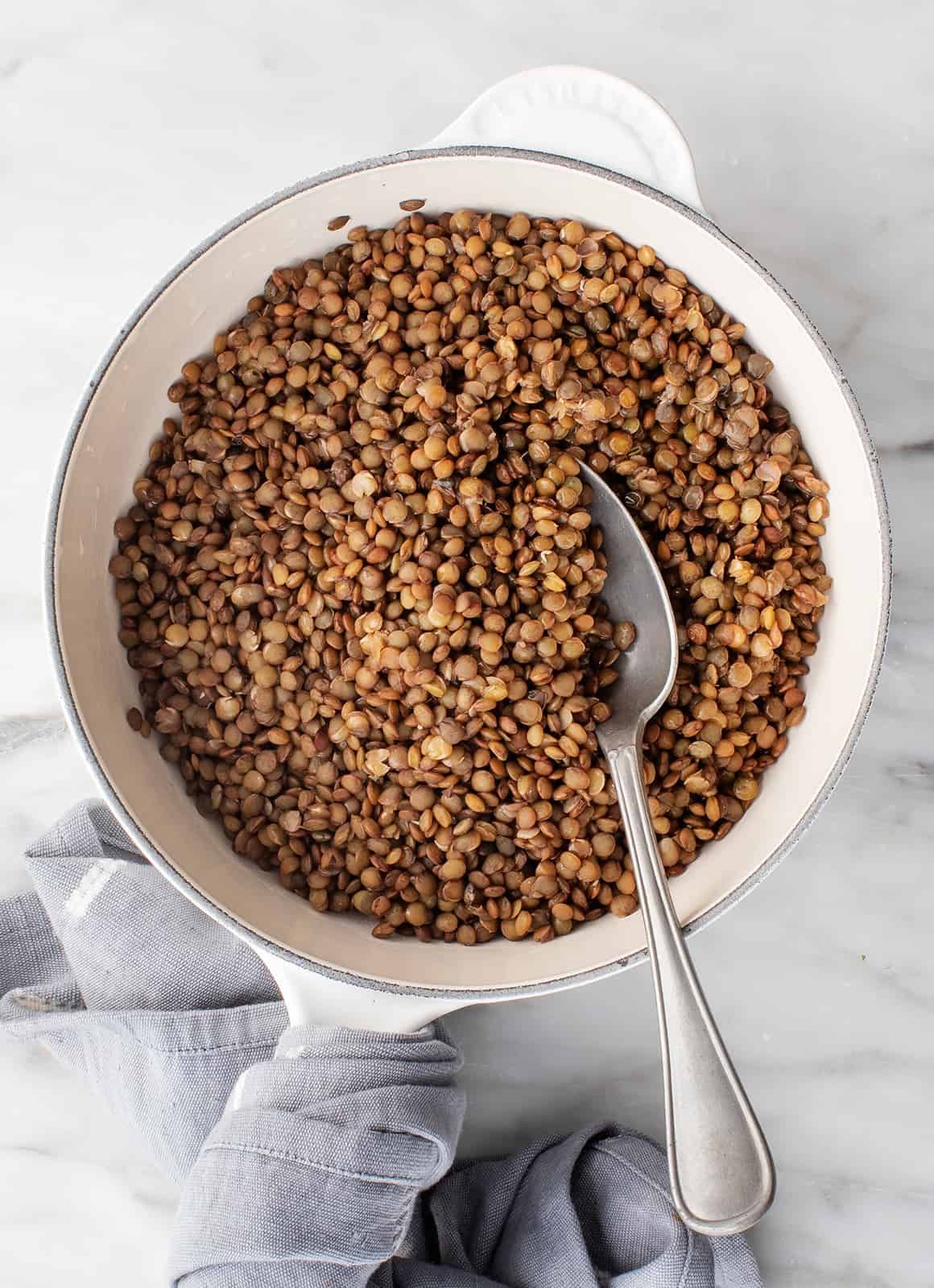 Extra Lentil