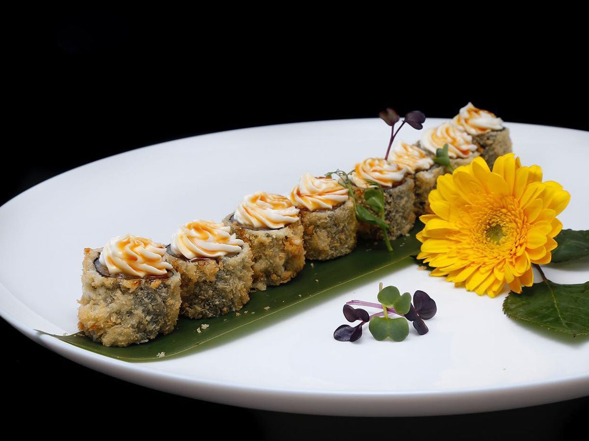 Maki Premuda 5 Pieces