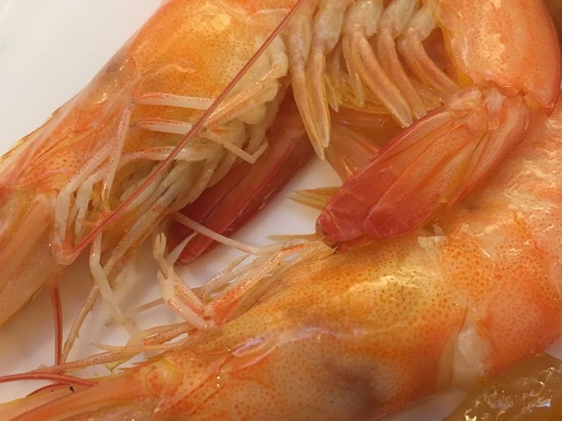 Masachi Shrimp Combo