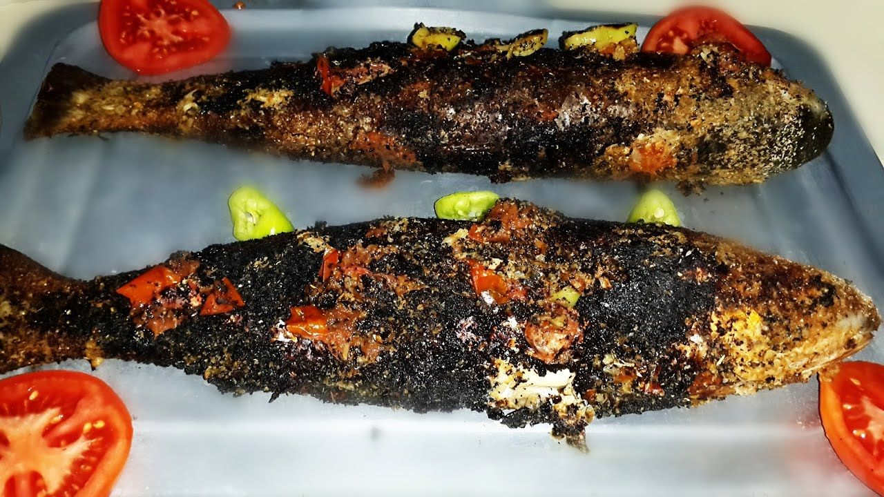 Grey Mullet Fish