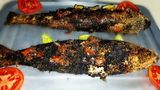 Grey Mullet Fish