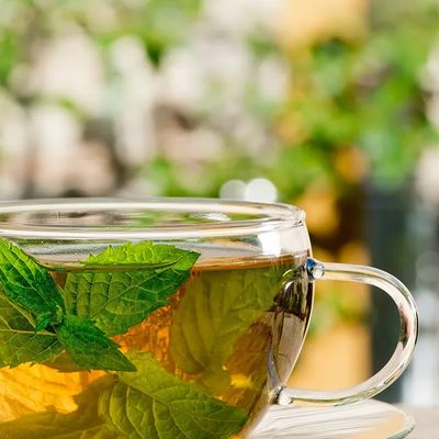 Mint Tea One Size