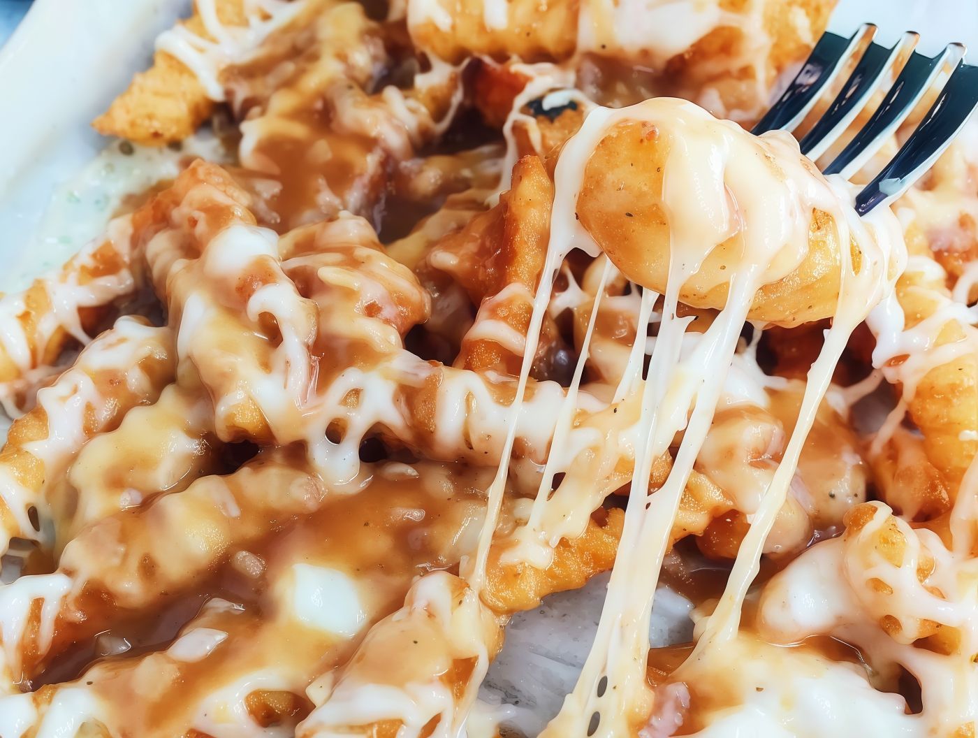 Mozzarella Fries