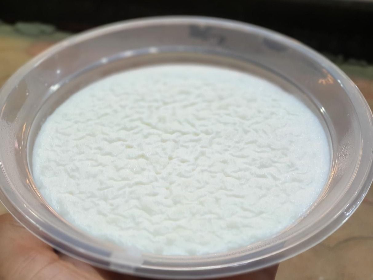 Plain Rice Pudding