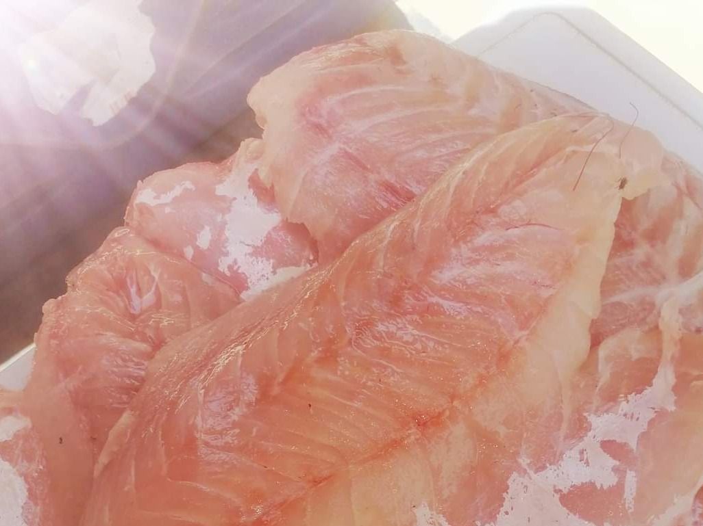 Fish Fillet