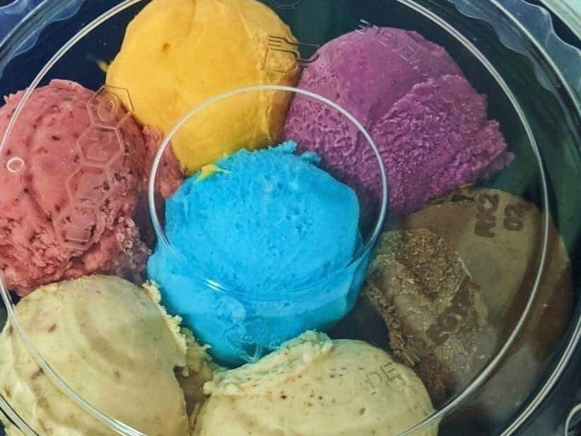 Family Ice Cream
