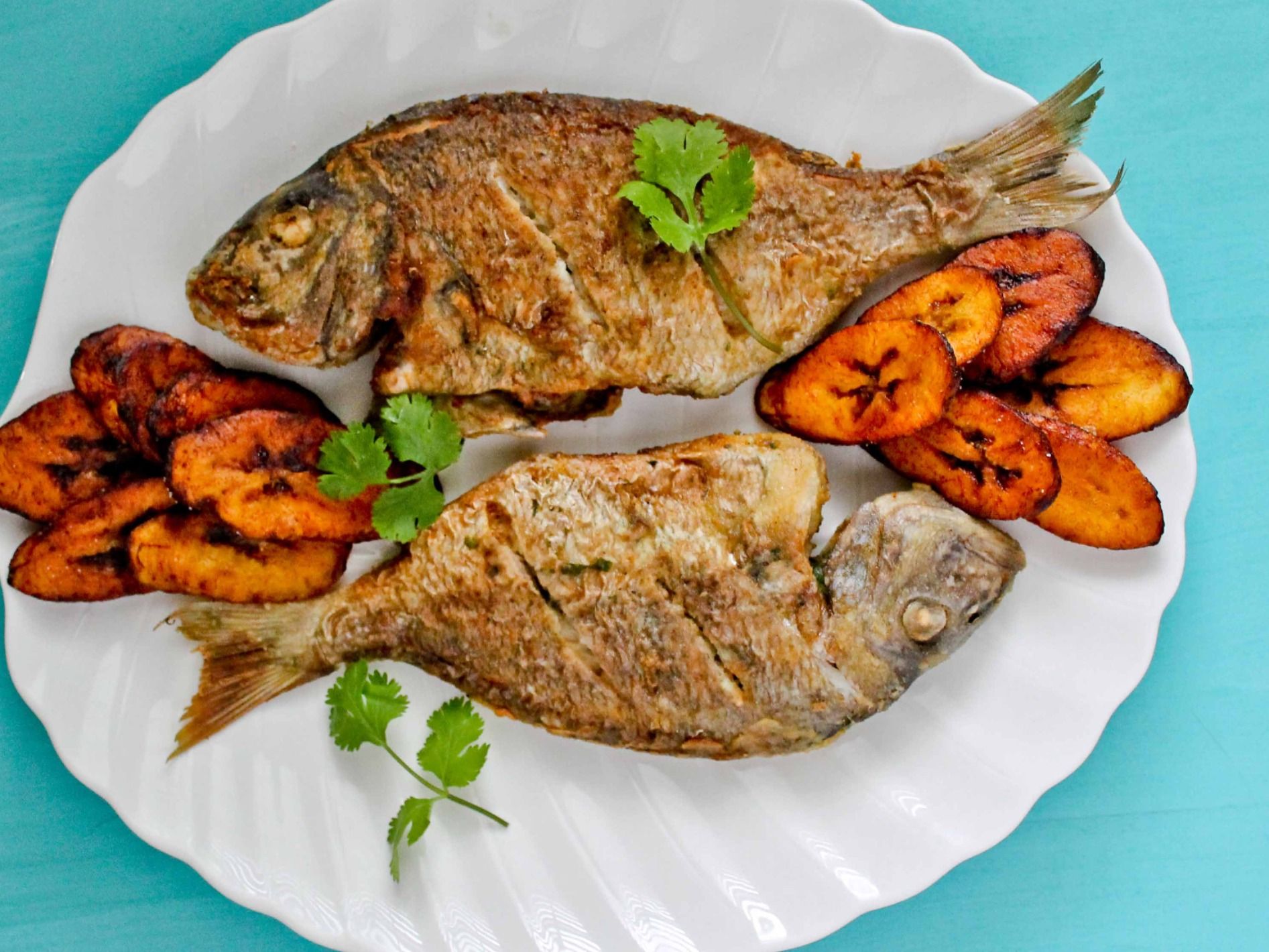 Large Tilapia Fish Meal