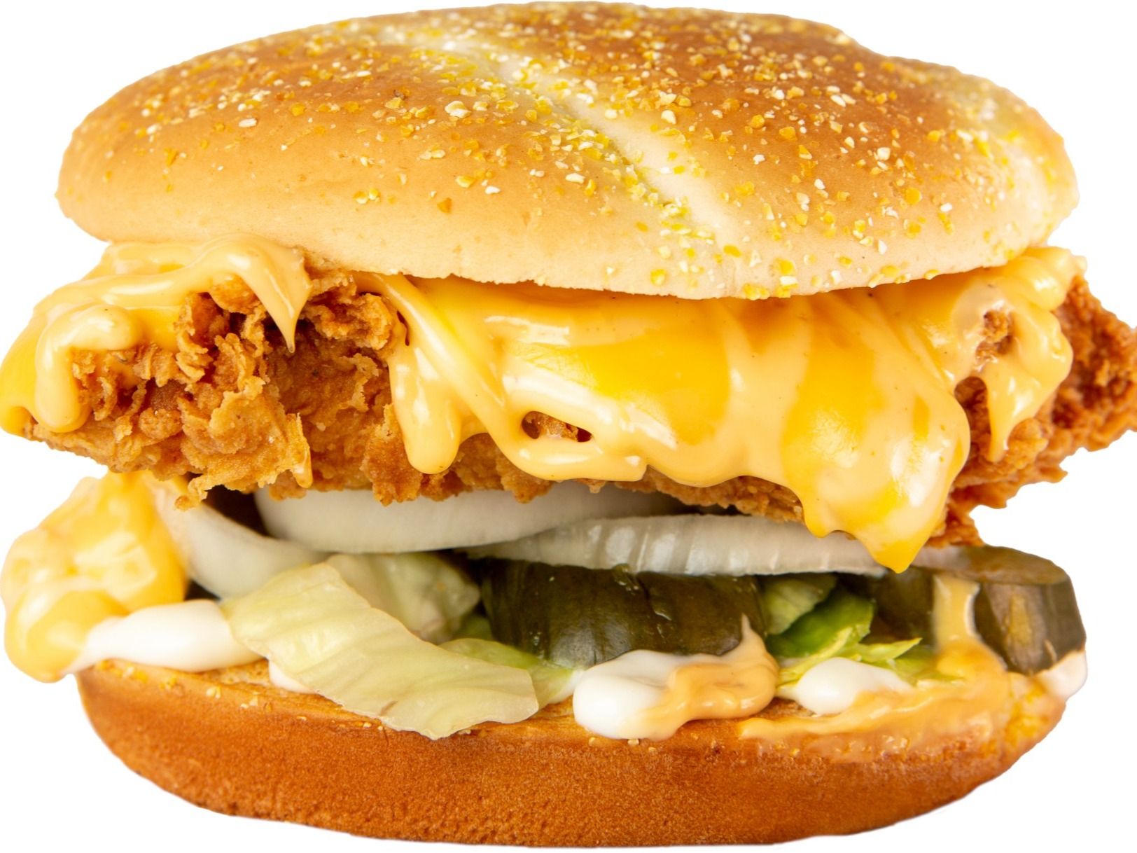 Tasty Chicken