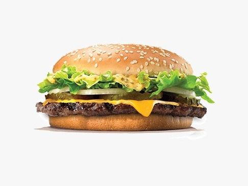 Plain Beef Burger Sandwich