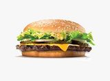 Plain Beef Burger Sandwich