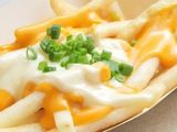 french fries with mozzarella cheese Sandwich