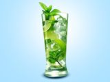 Scotch Mint Large