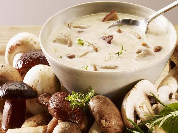 Mushroom Soup
