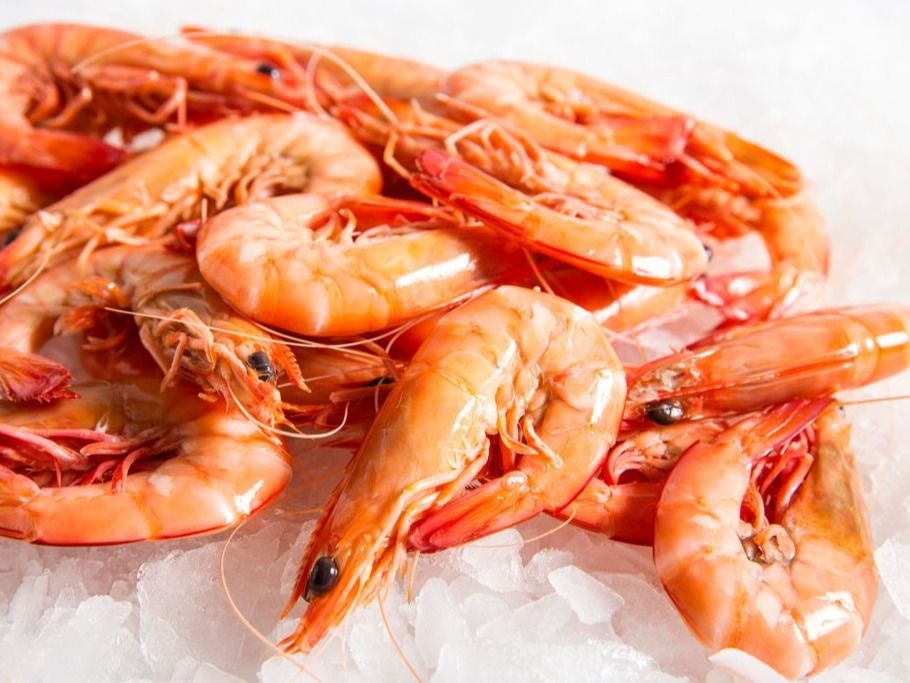 Grilled Medium Kazaz Shrimp