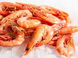 Grilled Medium Kazaz Shrimp