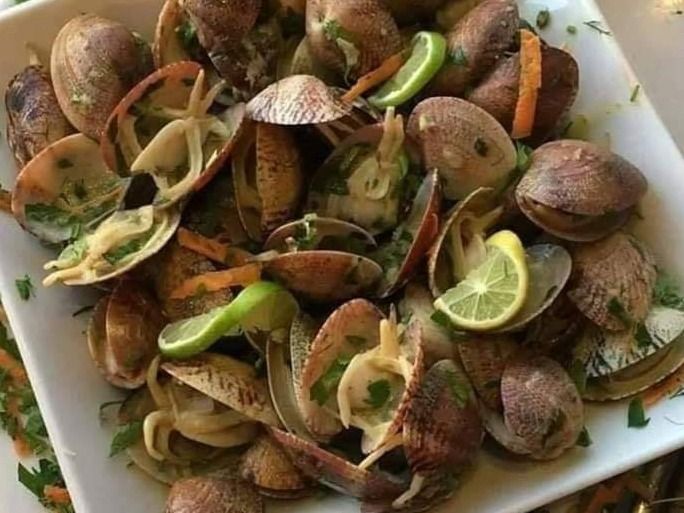 Clams