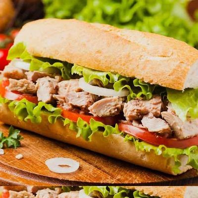 Plain Tuna Sandwich