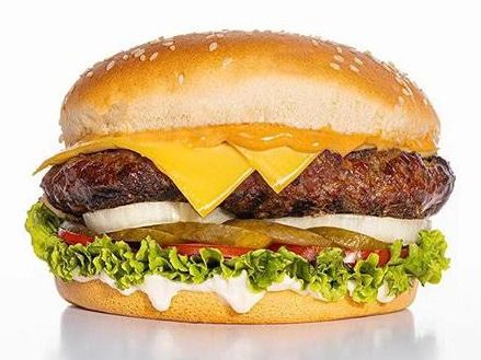 Classic Burger Sandwich