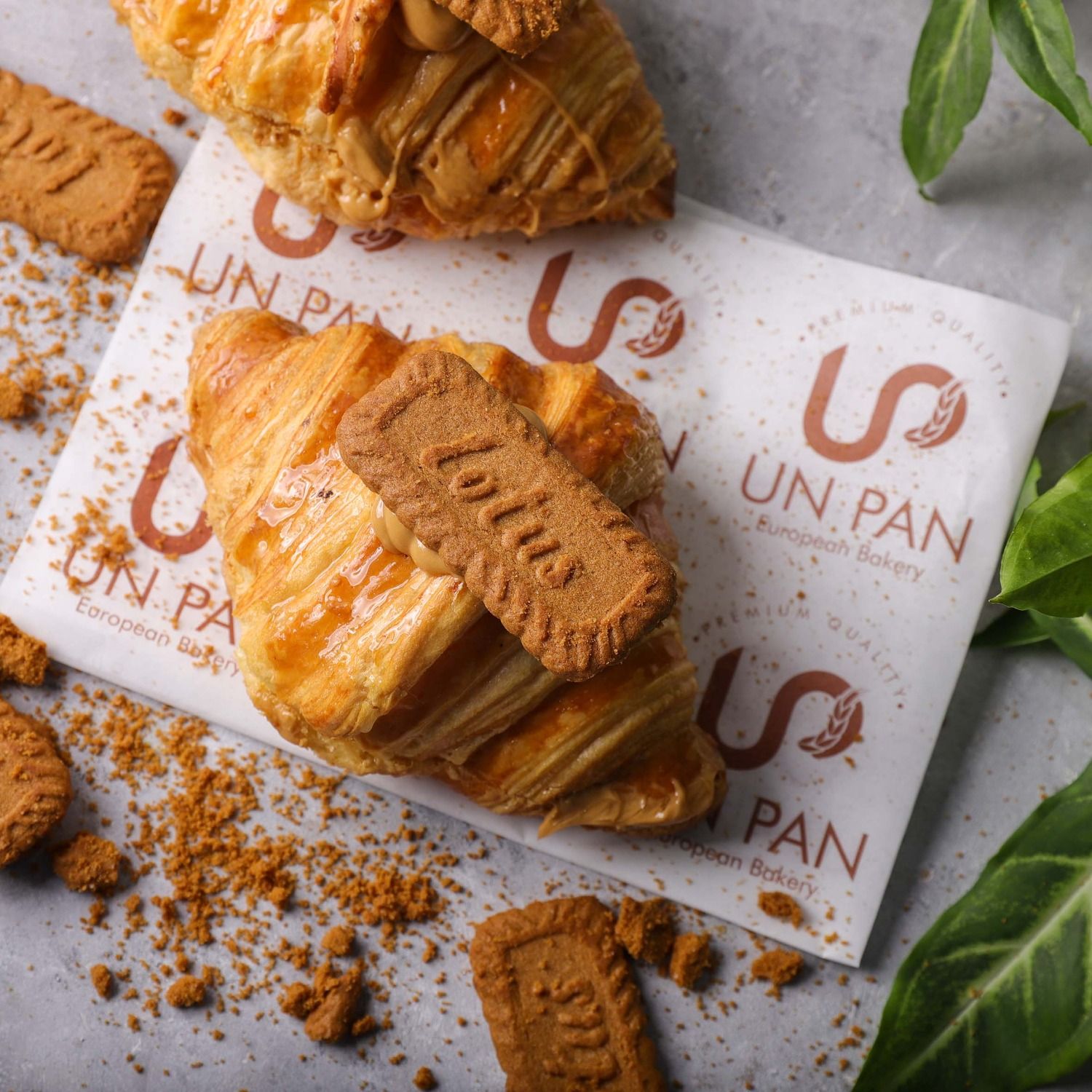 Lotus Croissant