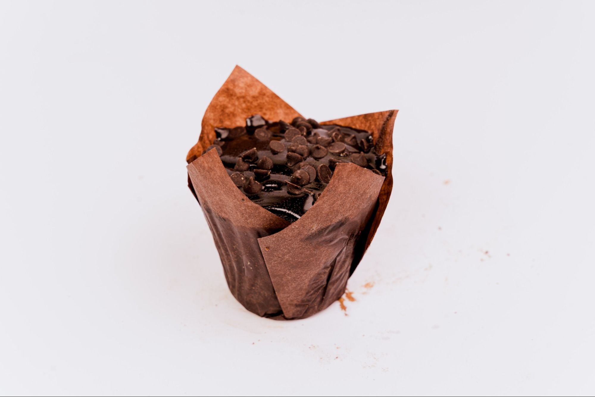 Chocolate Muffin