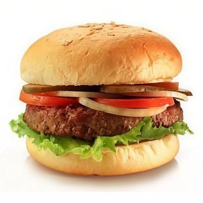 Plain Beef Burger Sandwich