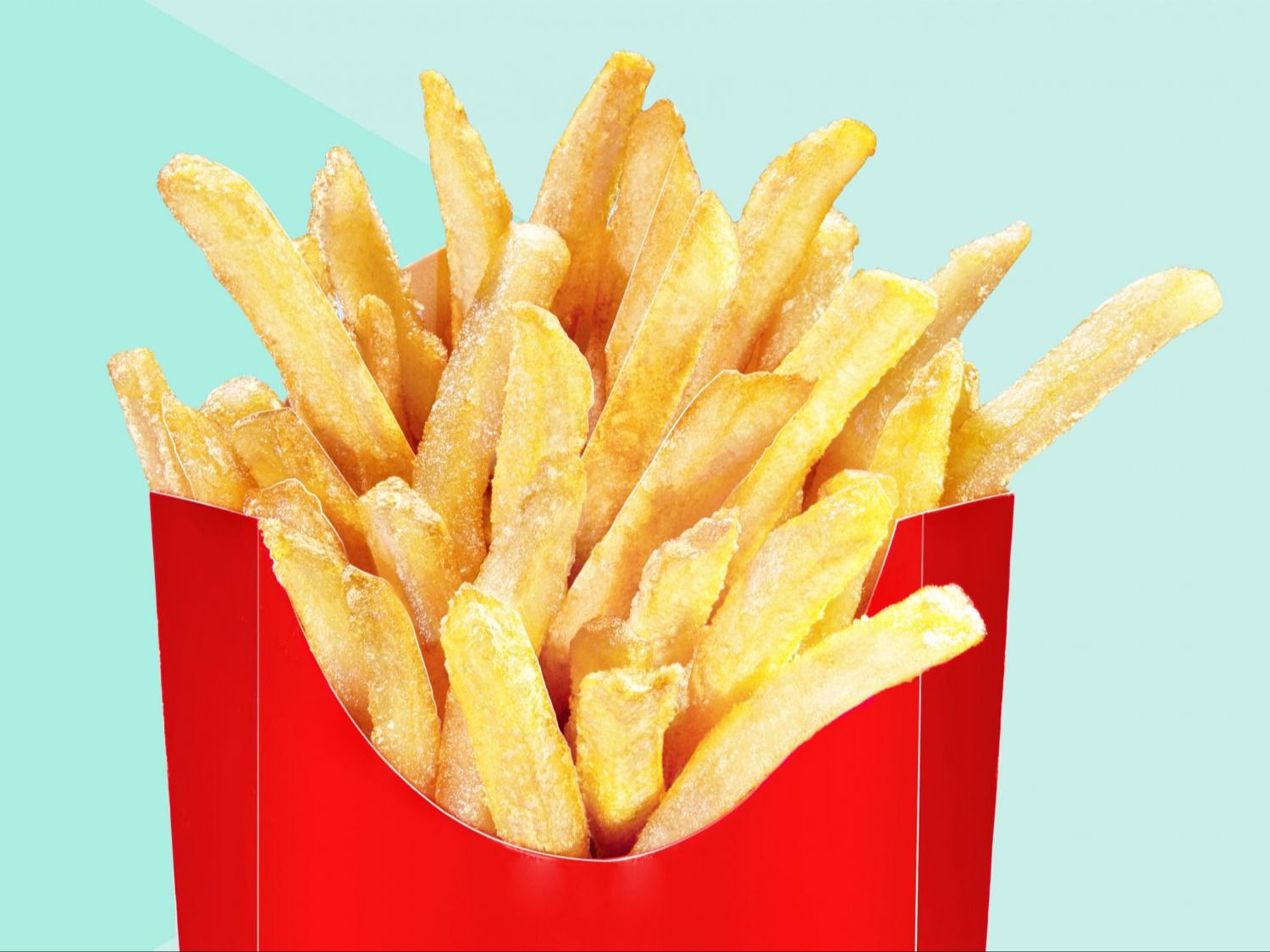 Fried Fries