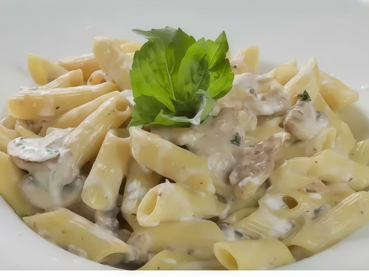 Macaroni With Bechamel Chicken Breasts