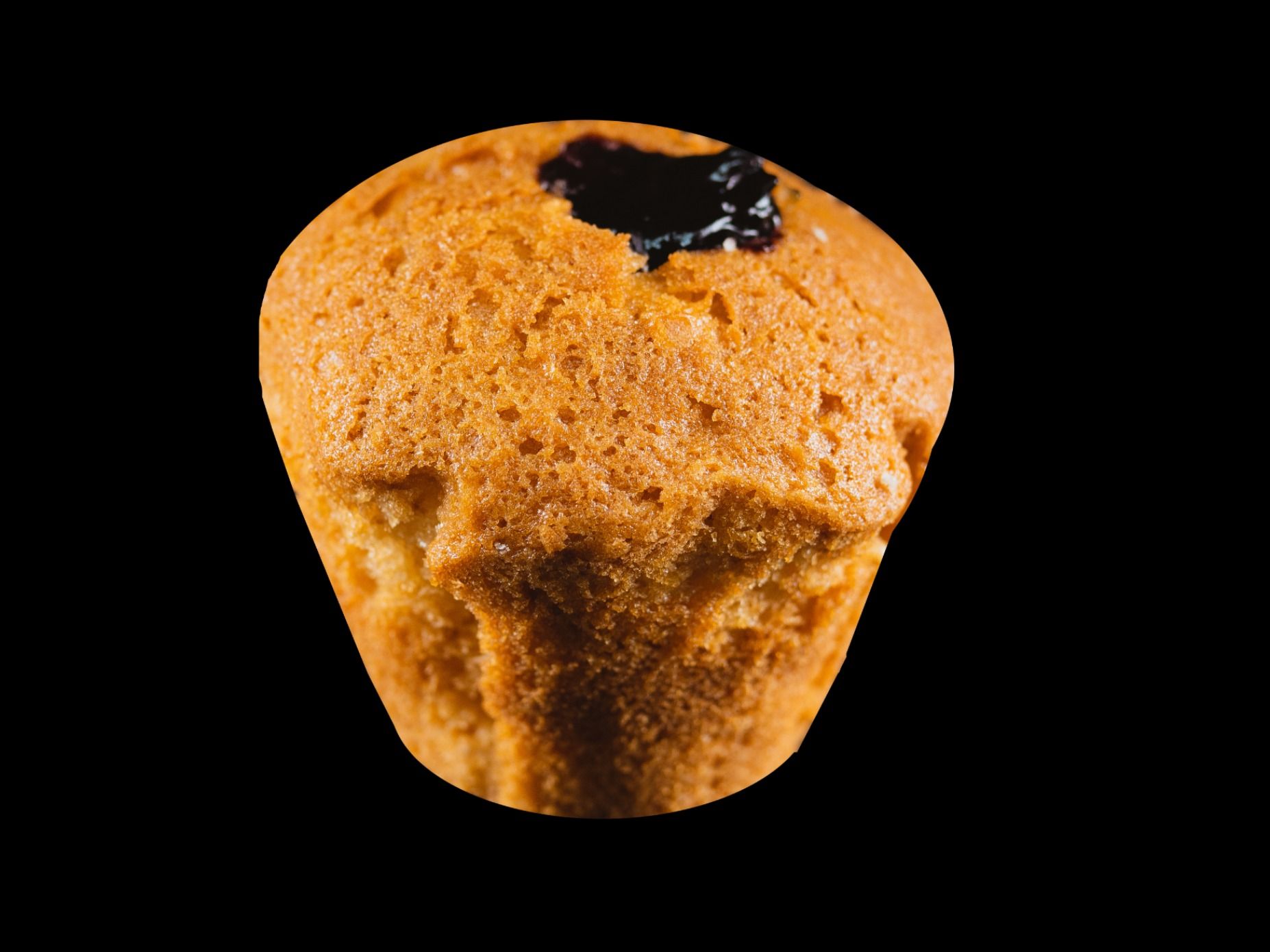 Blueberry Muffin