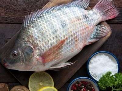 Uncooked Tilapia Fish