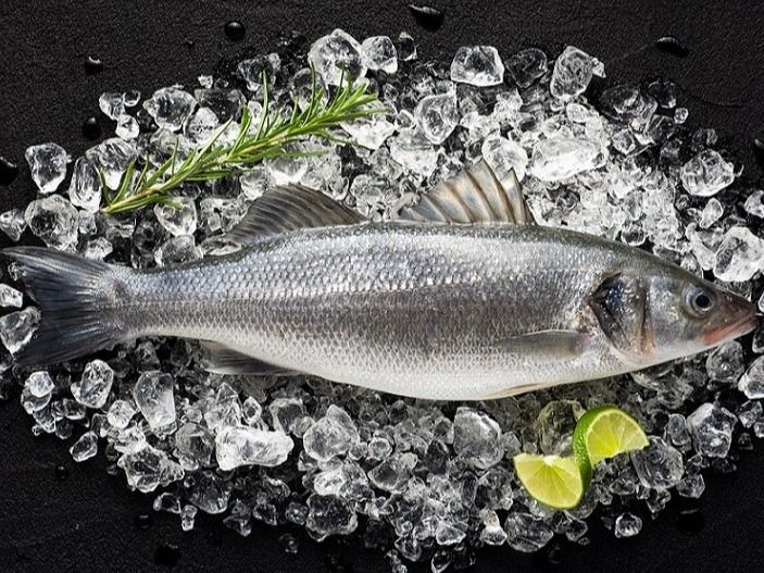 Uncooked Bass Fish