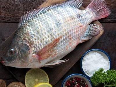 Uncooked Tilapia Fish