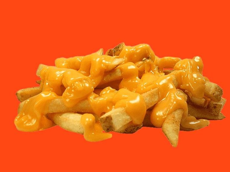 FRIES WITH WHIZ