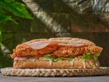 Zinger Ranch