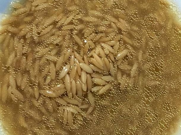 Orzo Soup