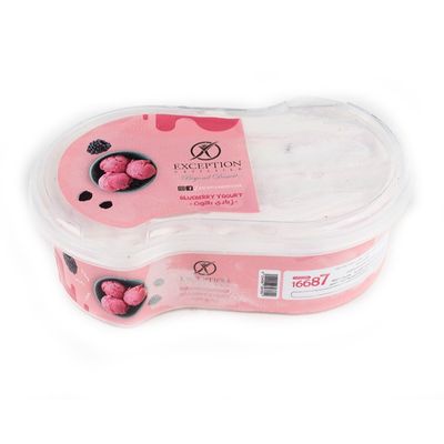 Yogurt Ice Cream Box 500 Grams