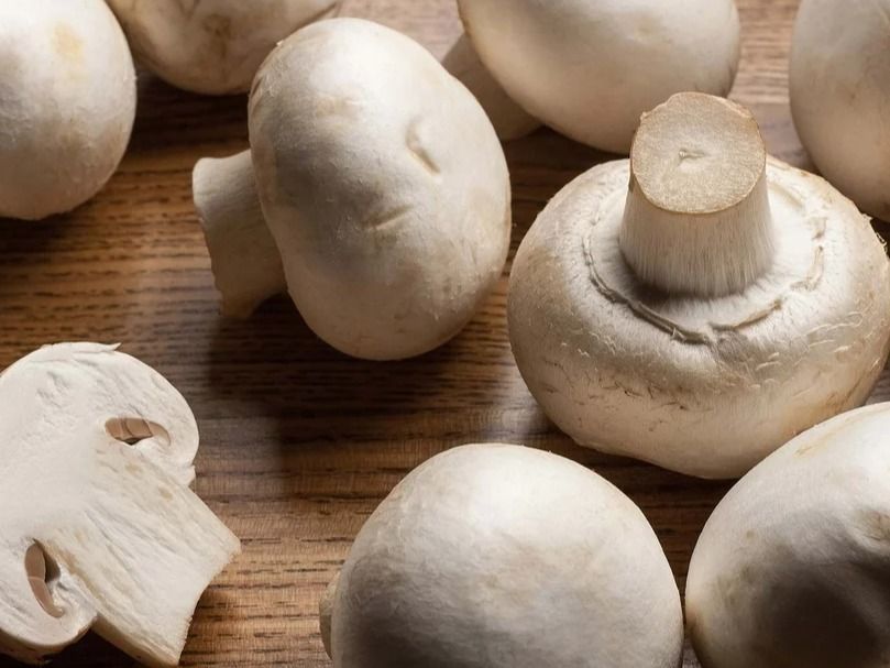 extra mushroom