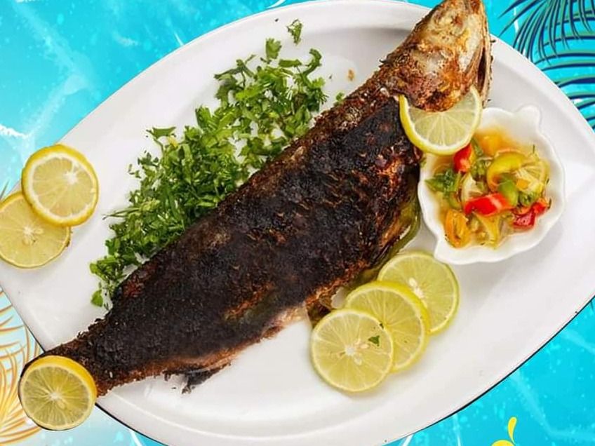 Grey Mullet Fish Meal