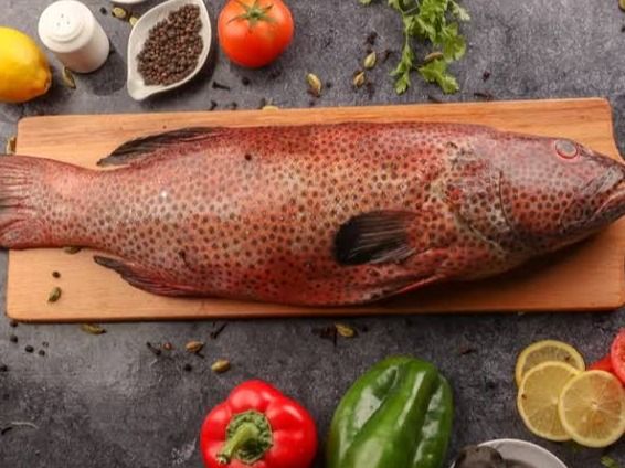 Grilled Grouper