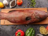 Grilled Grouper