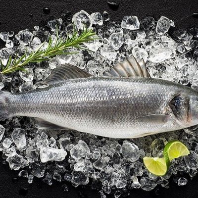 Uncooked Bass Fish
