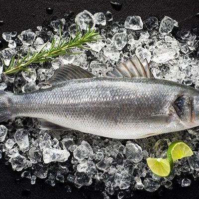 Uncooked Bass Fish