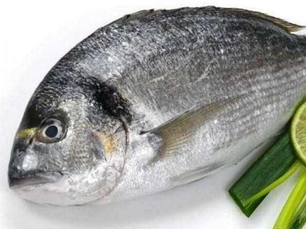 Uncooked Denies Fish