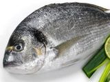 Uncooked Denies Fish