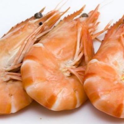 Shrimp With Peel Meal