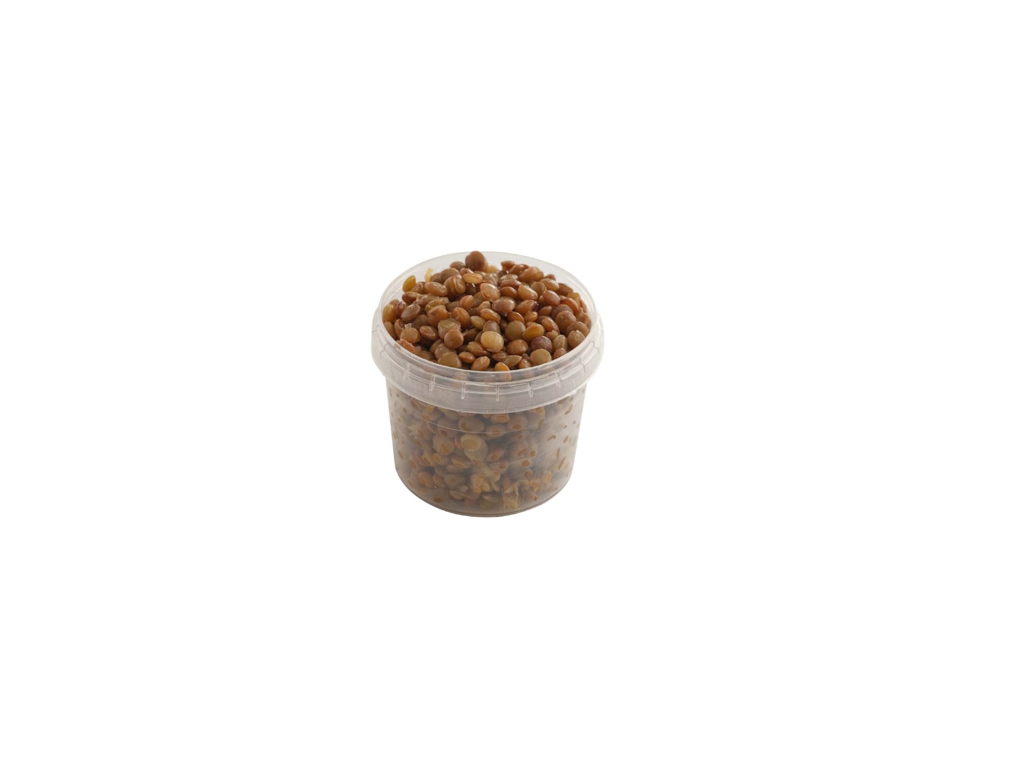 Lentil