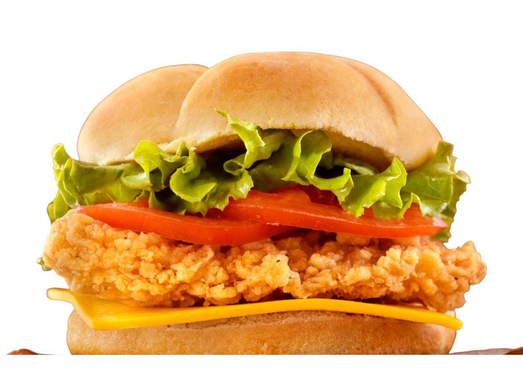Crispy Chicken Burger