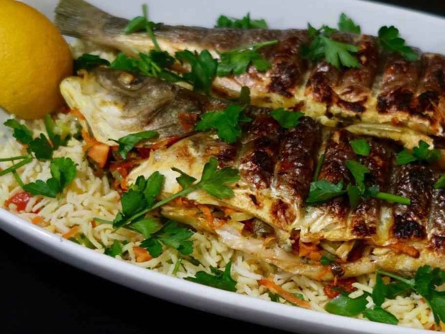 Grey Mullet Fish